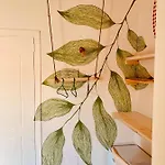 Family Tree - Water Available - Self Check In غوليم